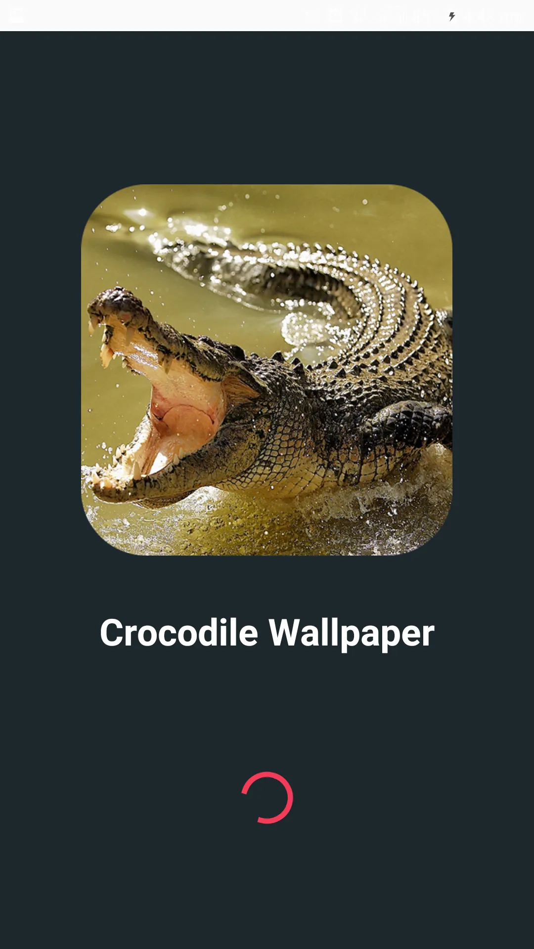 Crocodile Wallpapers | Indus Appstore | Screenshot