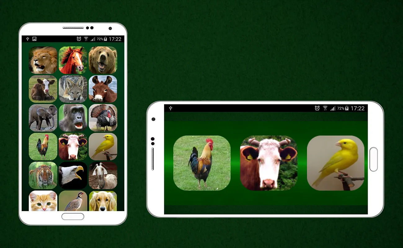 Animal Sounds | Indus Appstore | Screenshot