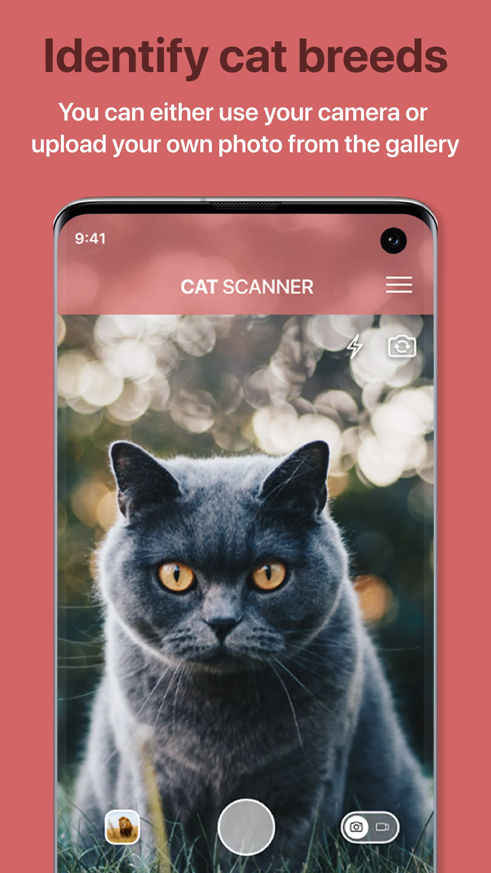 Cat Scanner: Breed Recognition | Indus Appstore | Screenshot