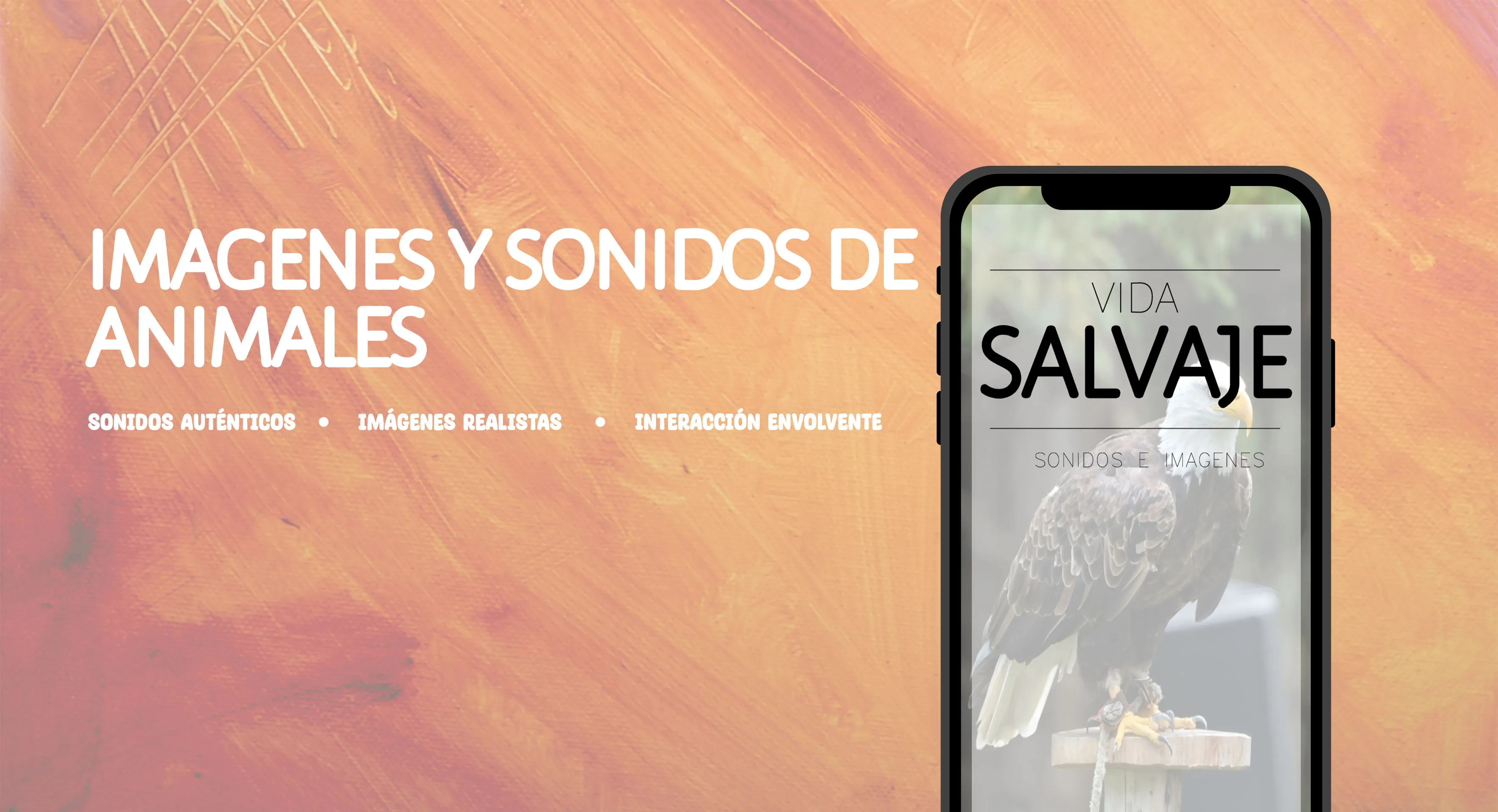 Animales: Sonidos e Imágenes | Indus Appstore | Screenshot