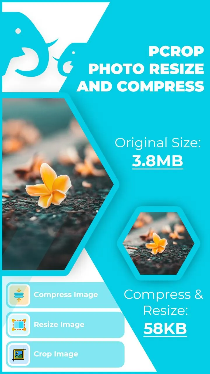 pCrop: Photo Resizer and Compr | Indus Appstore | Screenshot