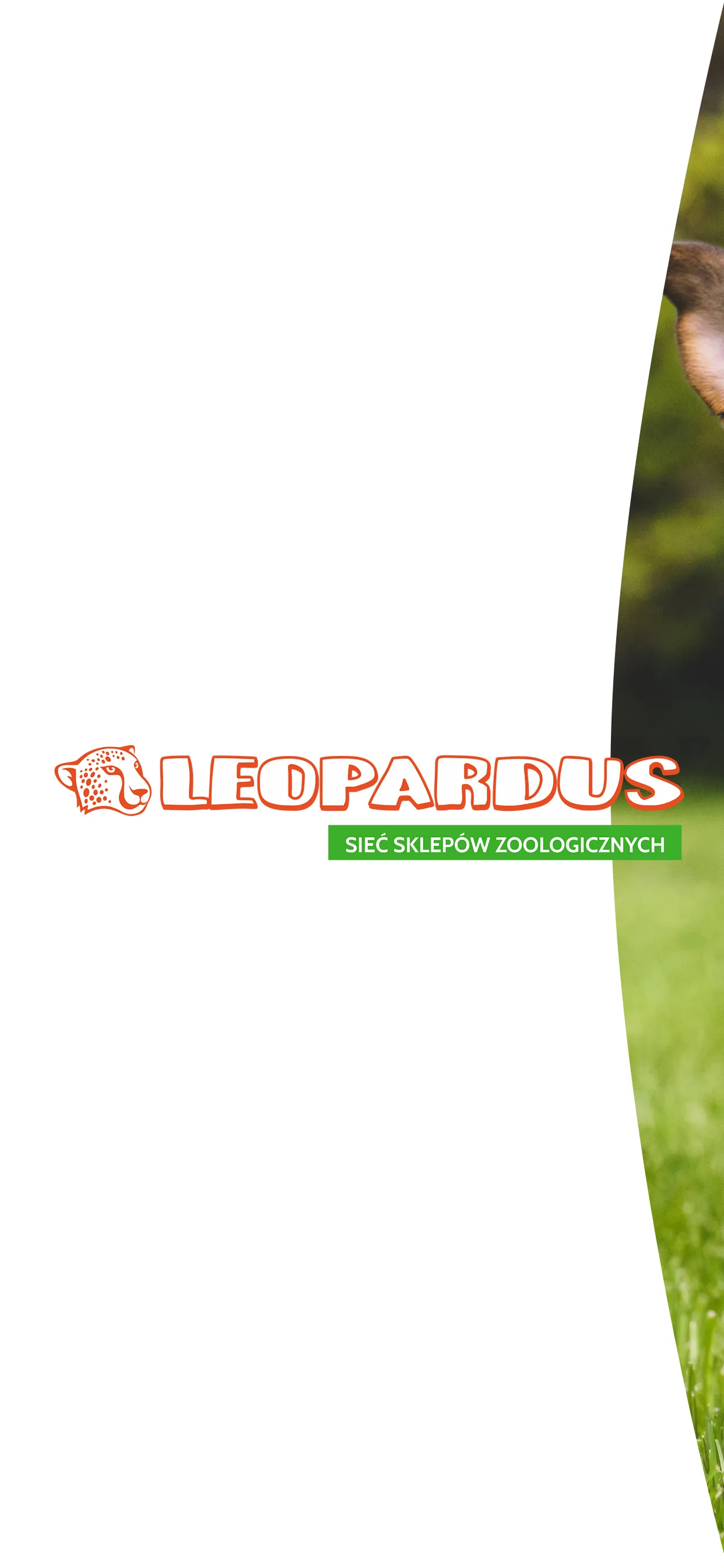 Leopardus | Indus Appstore | Screenshot