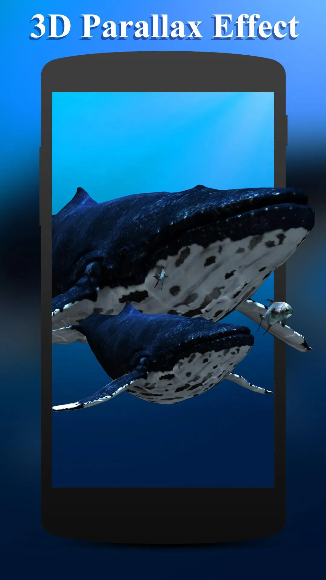 3D Sea Fish Live Wallpaper HD | Indus Appstore | Screenshot