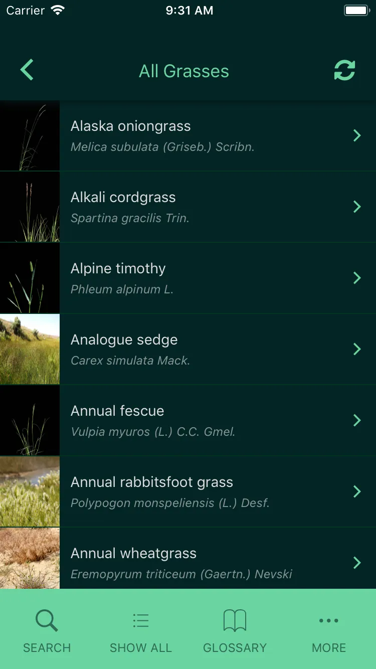 Idaho Grasses | Indus Appstore | Screenshot