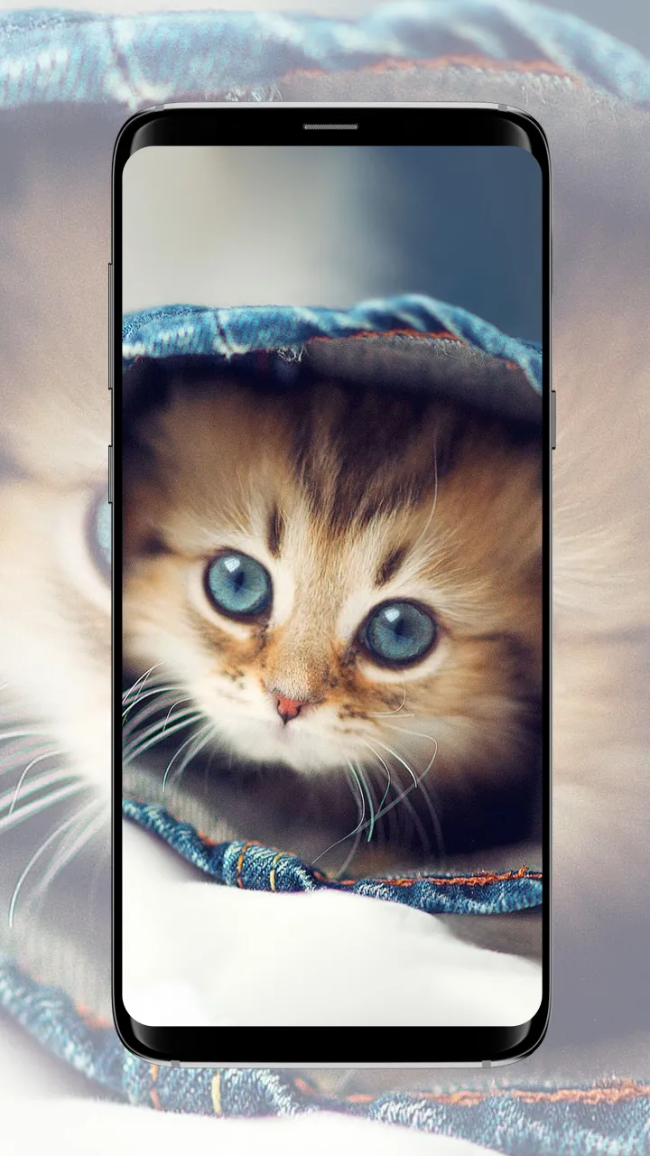 Cat Wallpaper | Indus Appstore | Screenshot