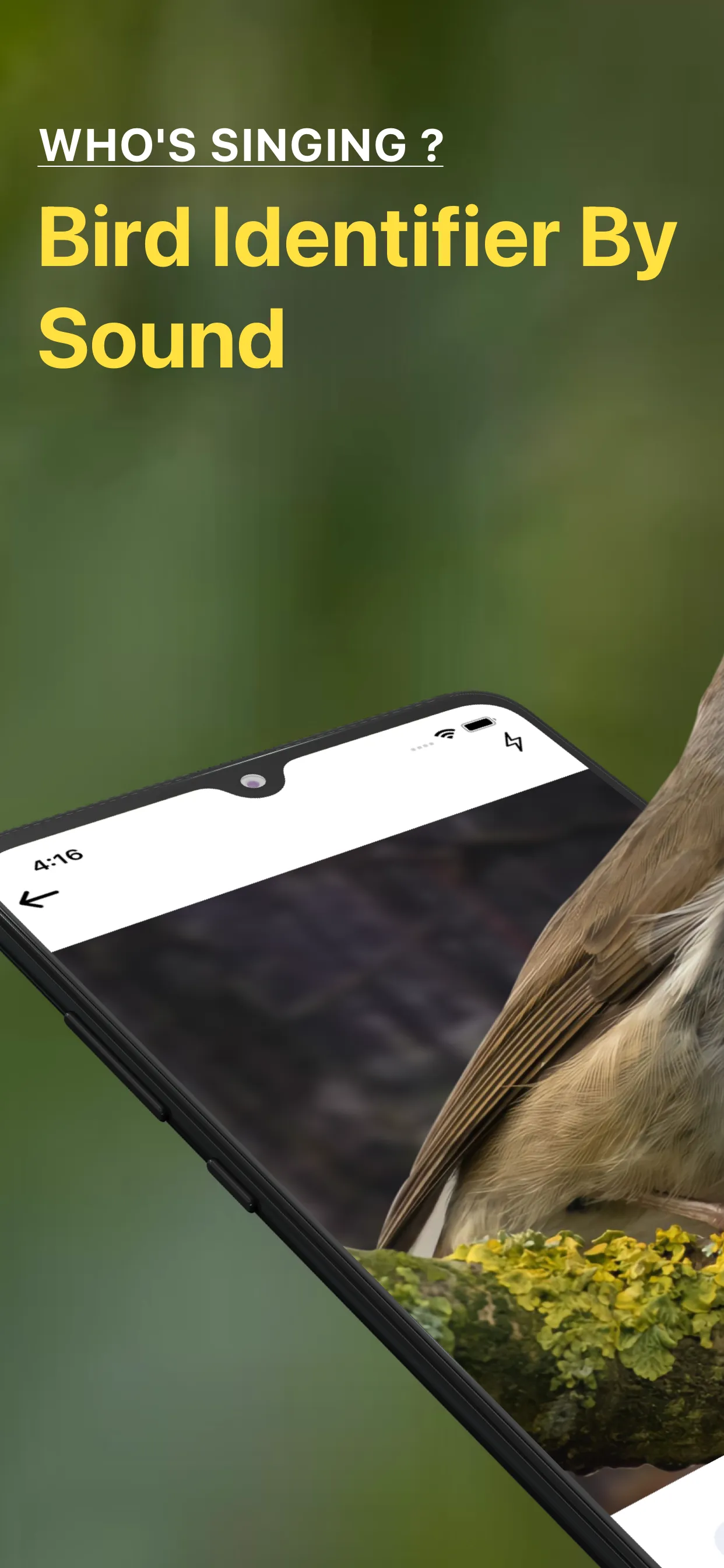 Bird Sound Identifier Bird ID | Indus Appstore | Screenshot