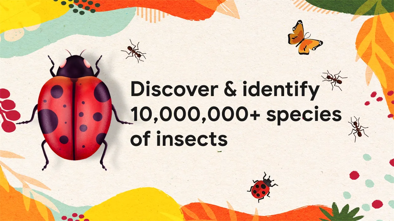 Insect identifier - identity | Indus Appstore | Screenshot