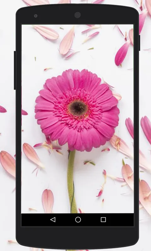 Flower Wallpapers | Indus Appstore | Screenshot