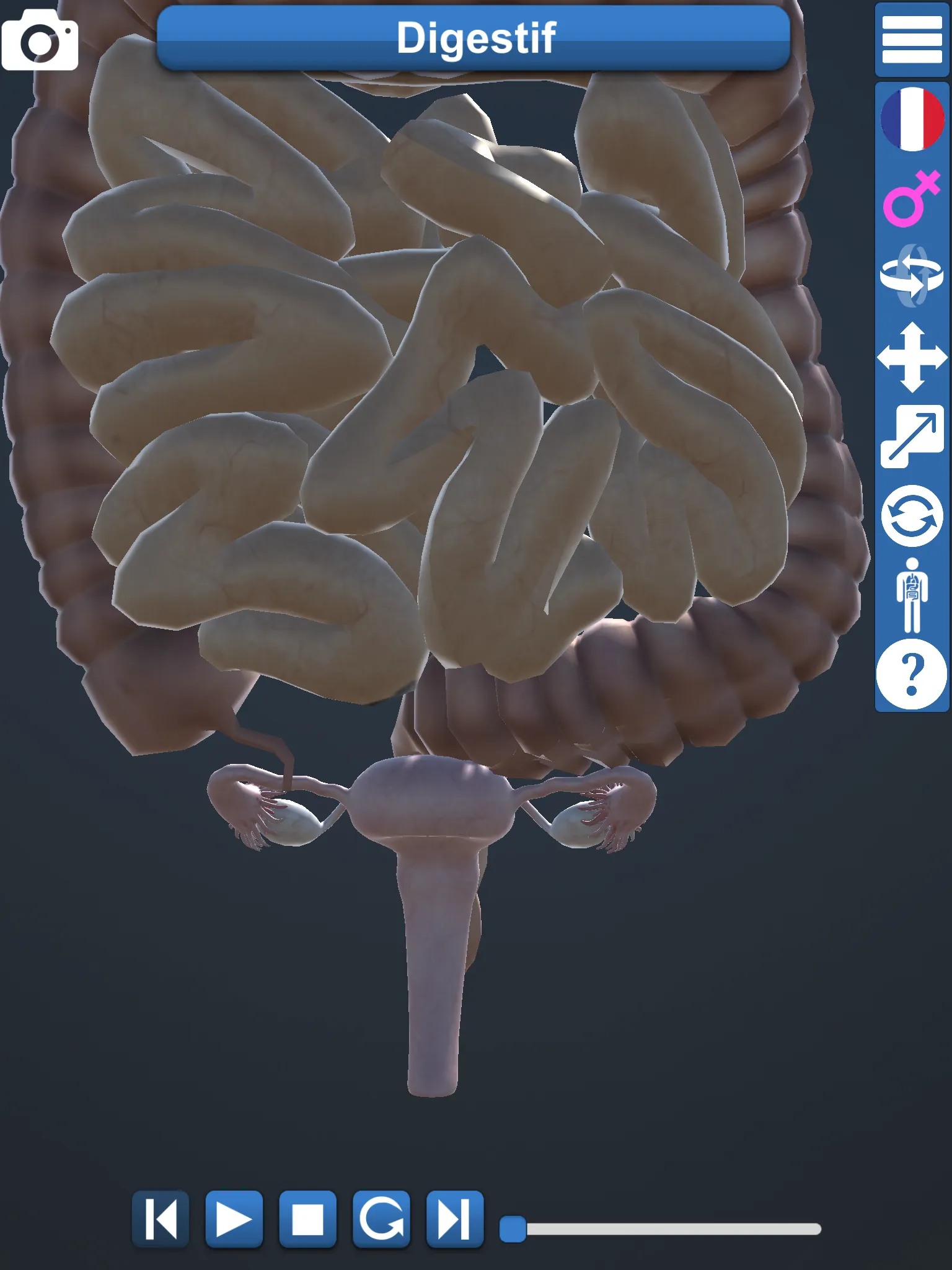 Anatomy 3D | Indus Appstore | Screenshot