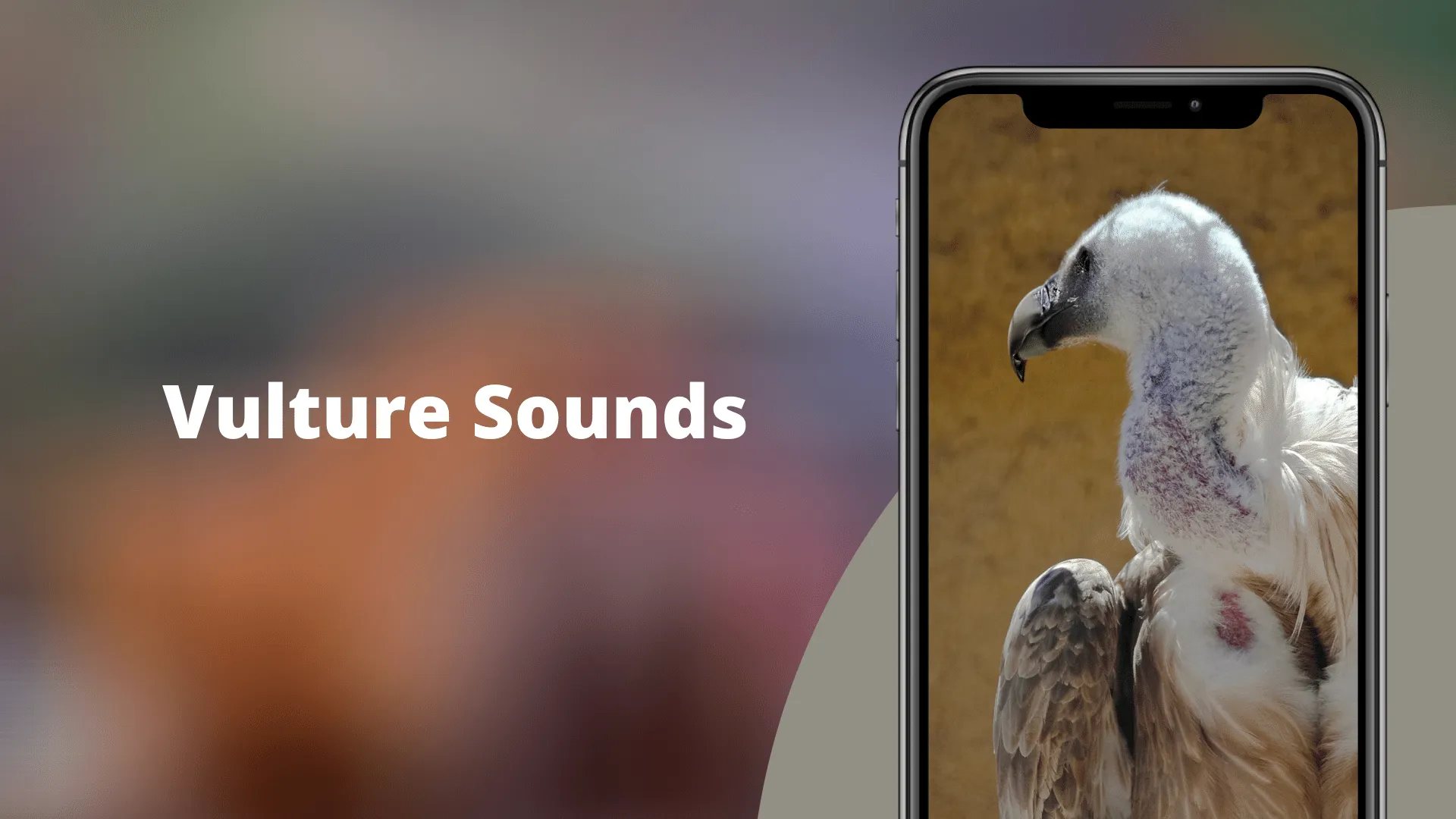 Vulture Sounds | Indus Appstore | Screenshot