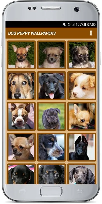 DOG PUPPY WALLPAPERS | Indus Appstore | Screenshot