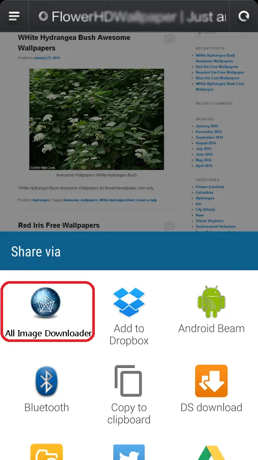 All Image Downloader - Search | Indus Appstore | Screenshot