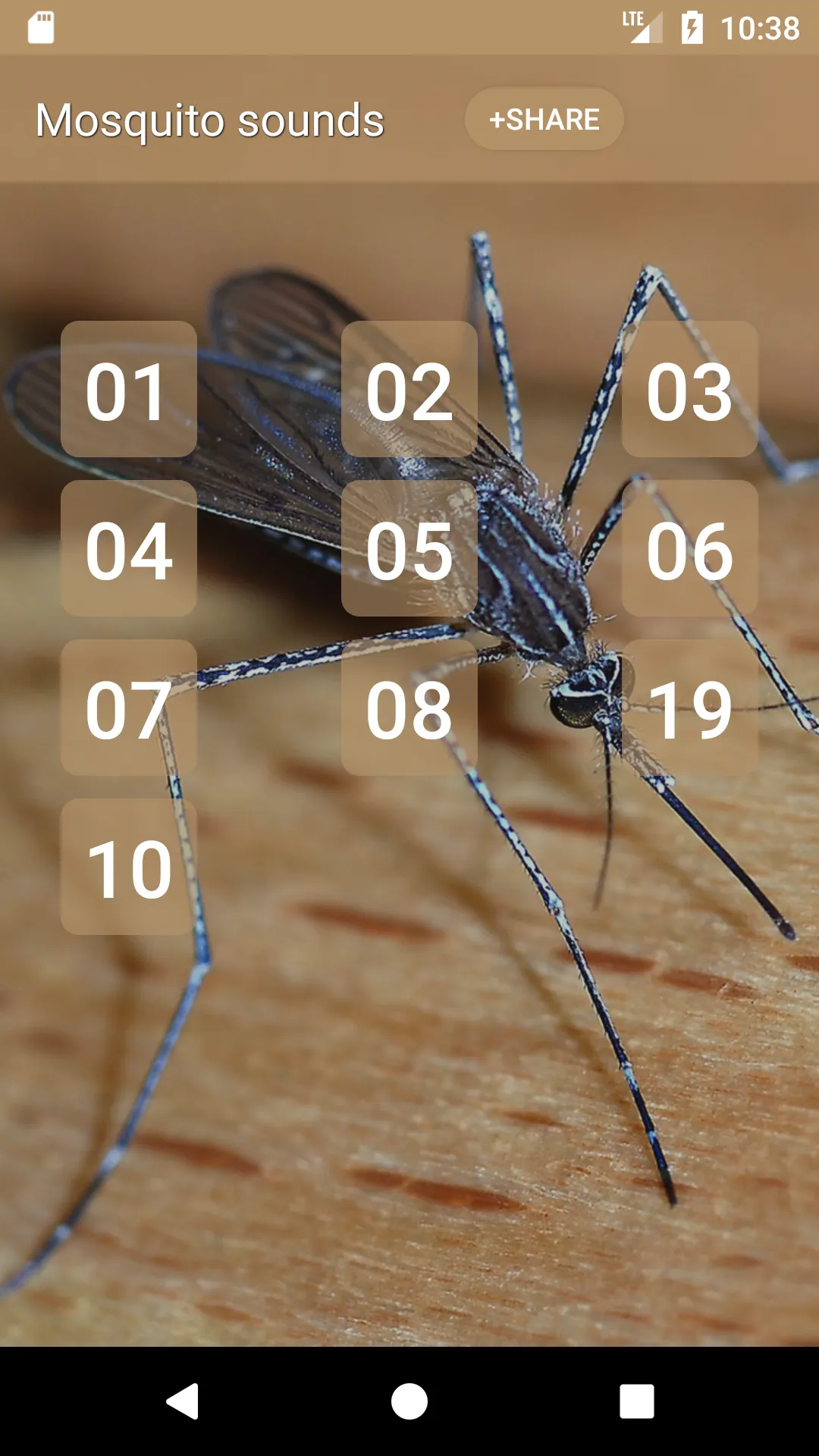 Mosquito sounds | Indus Appstore | Screenshot