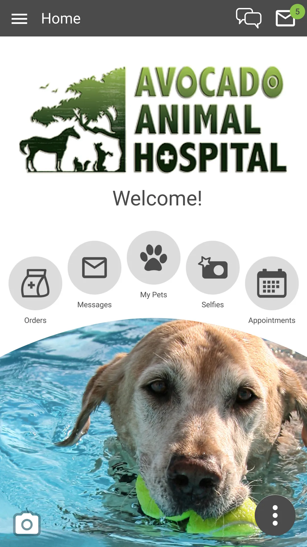 Avocado Vet | Indus Appstore | Screenshot