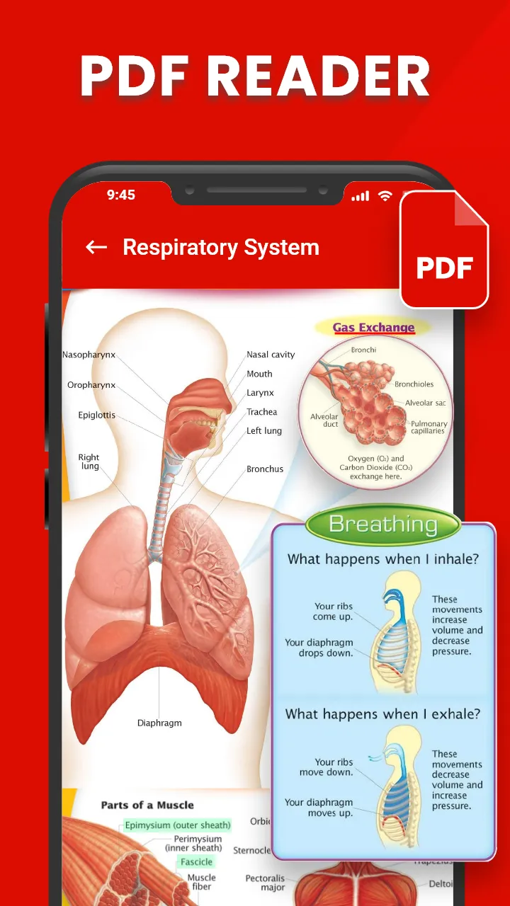 PDF Reader & PDF Book Viewer | Indus Appstore | Screenshot