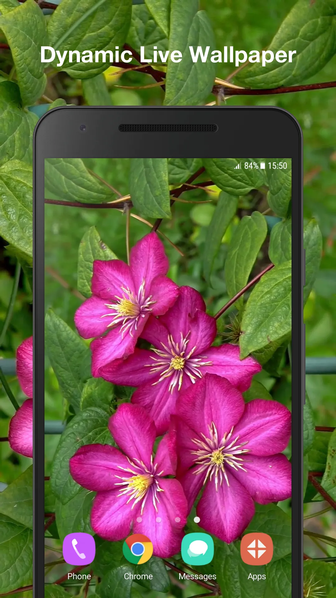 Flowers Live Wallpaper | Indus Appstore | Screenshot