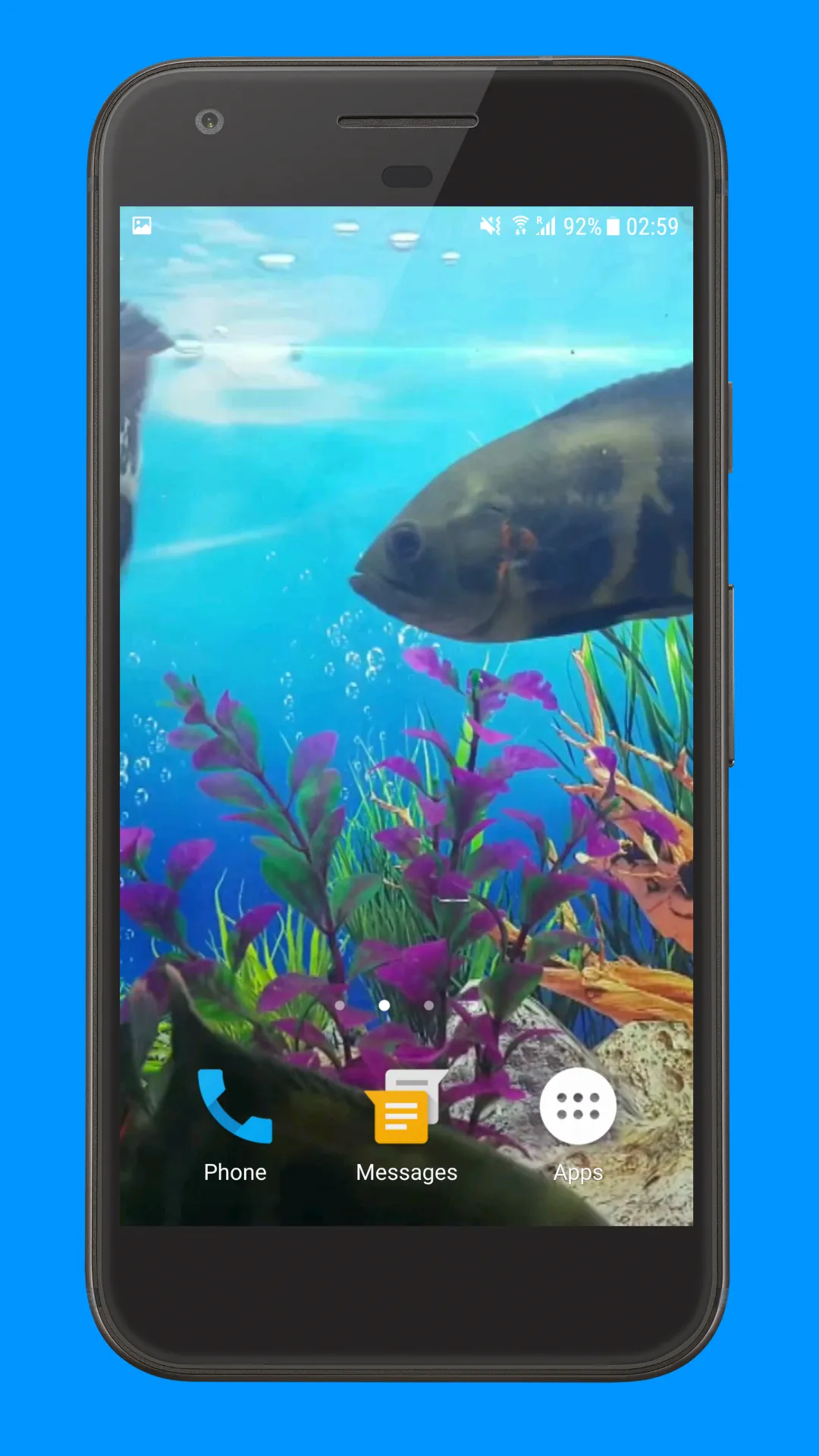 Oscar Fish Aquarium Video 3D | Indus Appstore | Screenshot