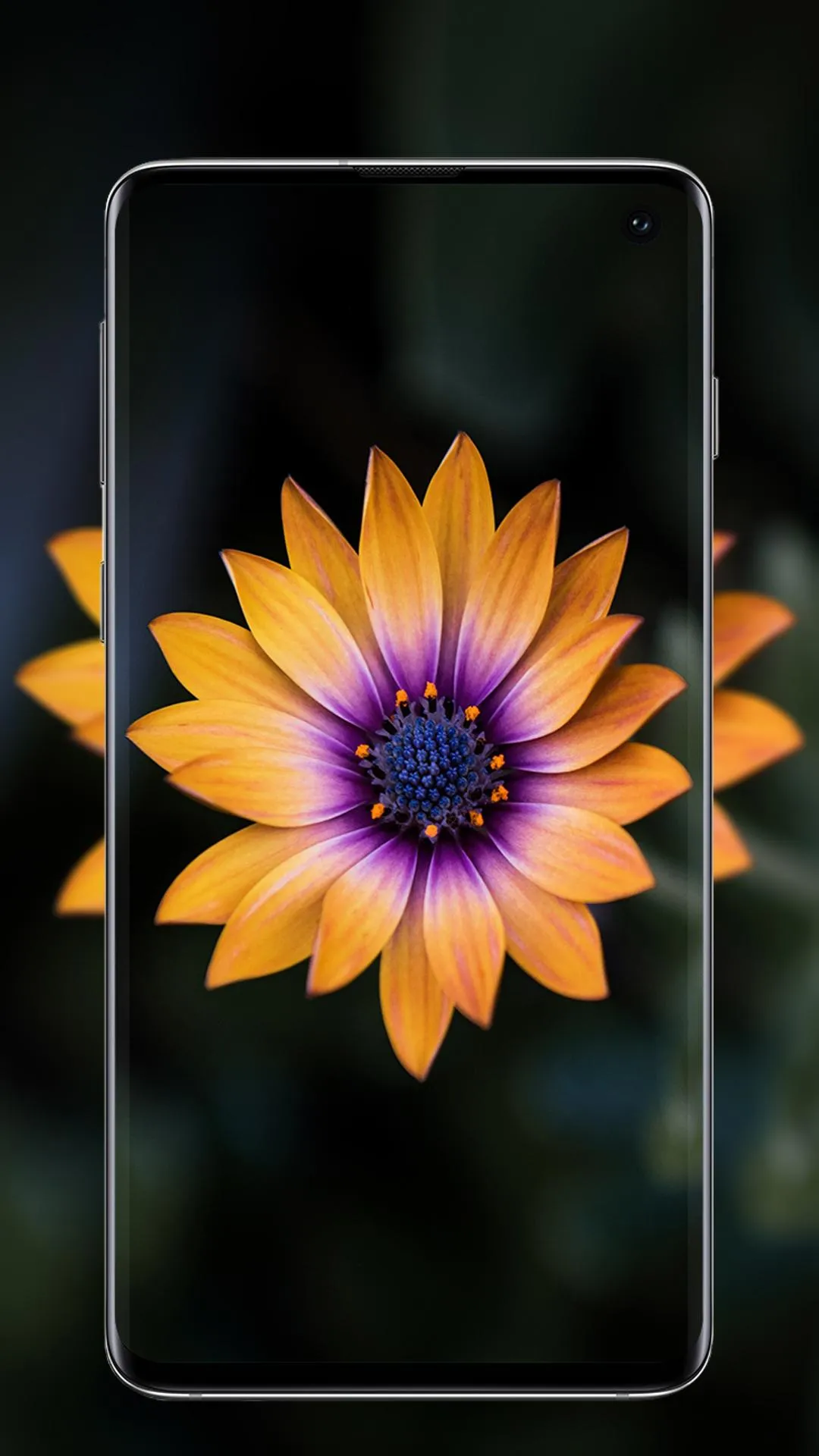 Flower Wallpaper | Indus Appstore | Screenshot