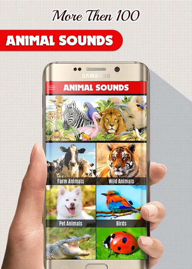 Animal Sounds: With Images | Indus Appstore | Screenshot