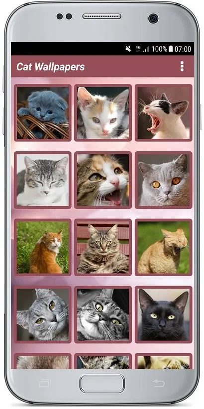 CUTE CAT WALLPAPERS | Indus Appstore | Screenshot