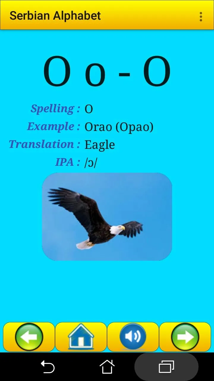 Serbian alphabet for students | Indus Appstore | Screenshot