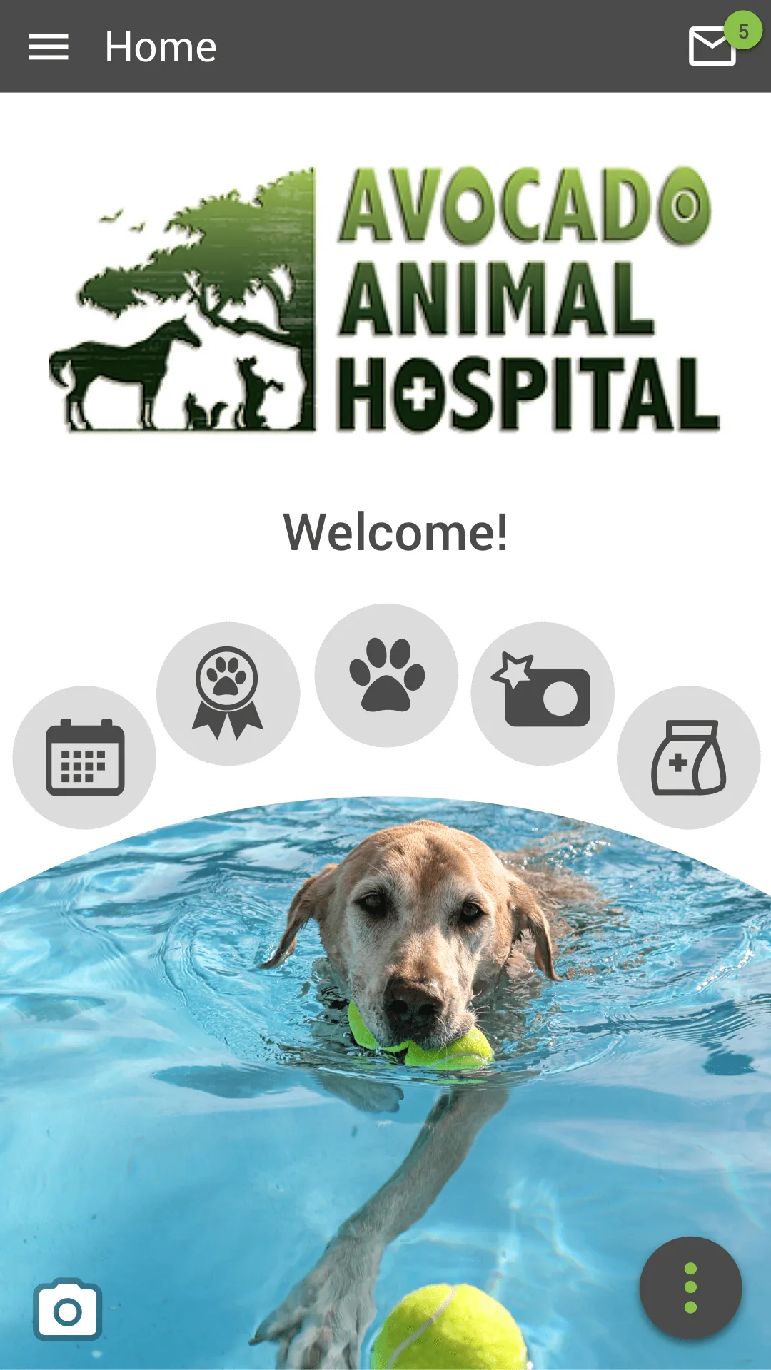 Avocado Vet | Indus Appstore | Screenshot