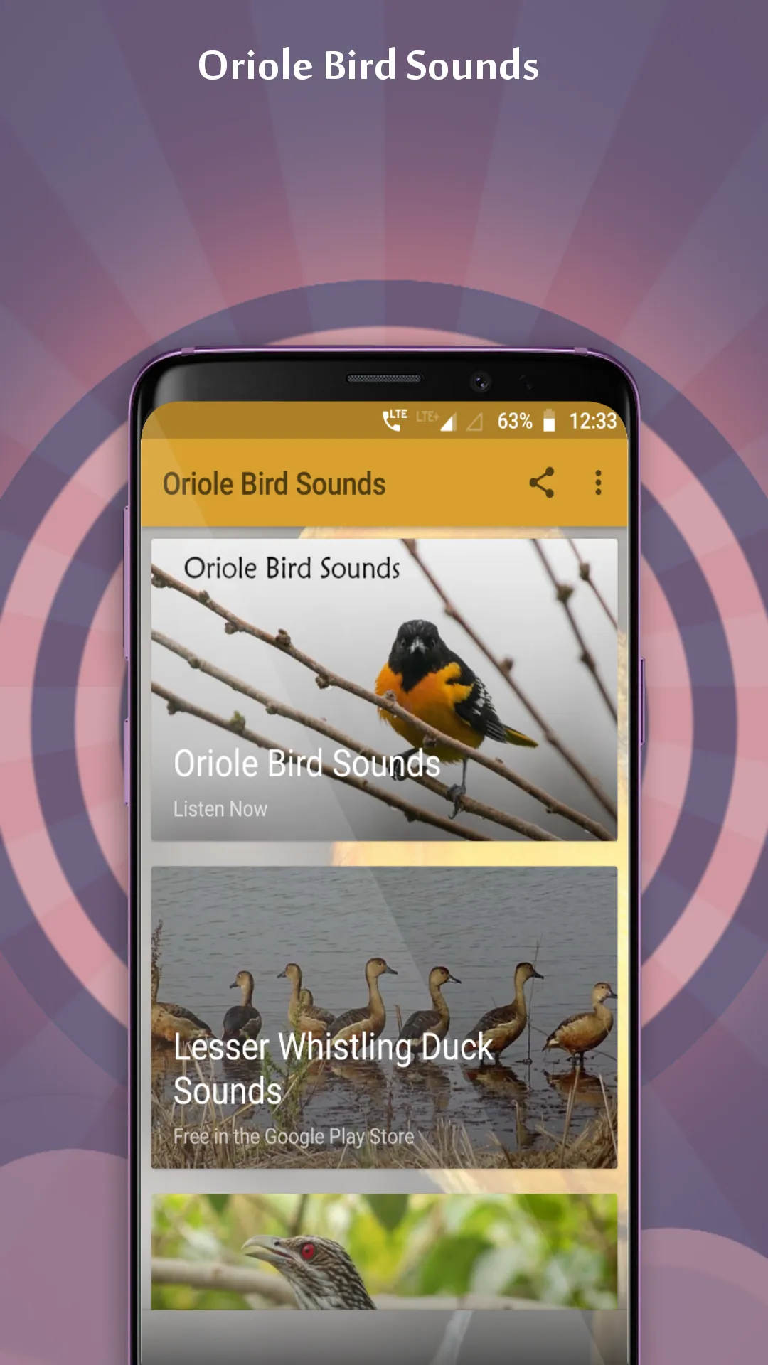 Oriole Bird Sounds | Indus Appstore | Screenshot