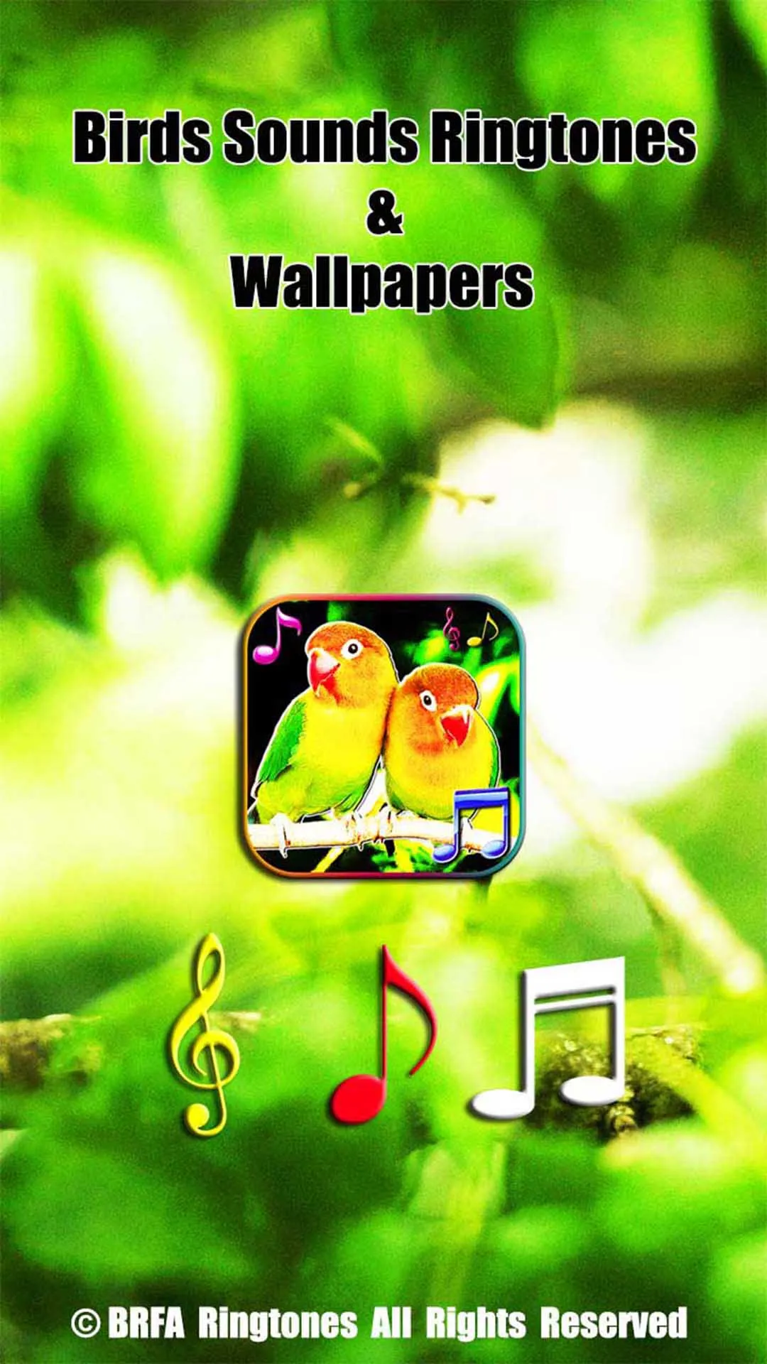 Birds Sounds & Live Wallpapers | Indus Appstore | Screenshot