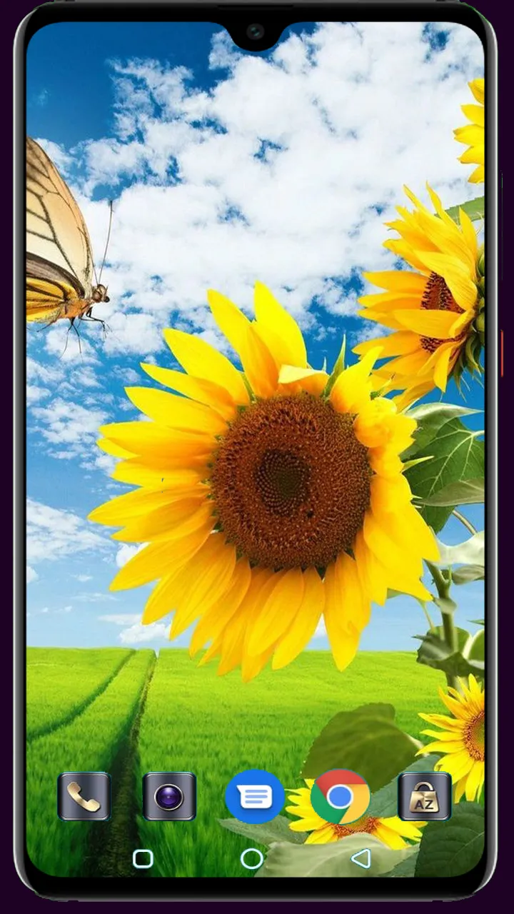 Sunflower Wallpaper | Indus Appstore | Screenshot