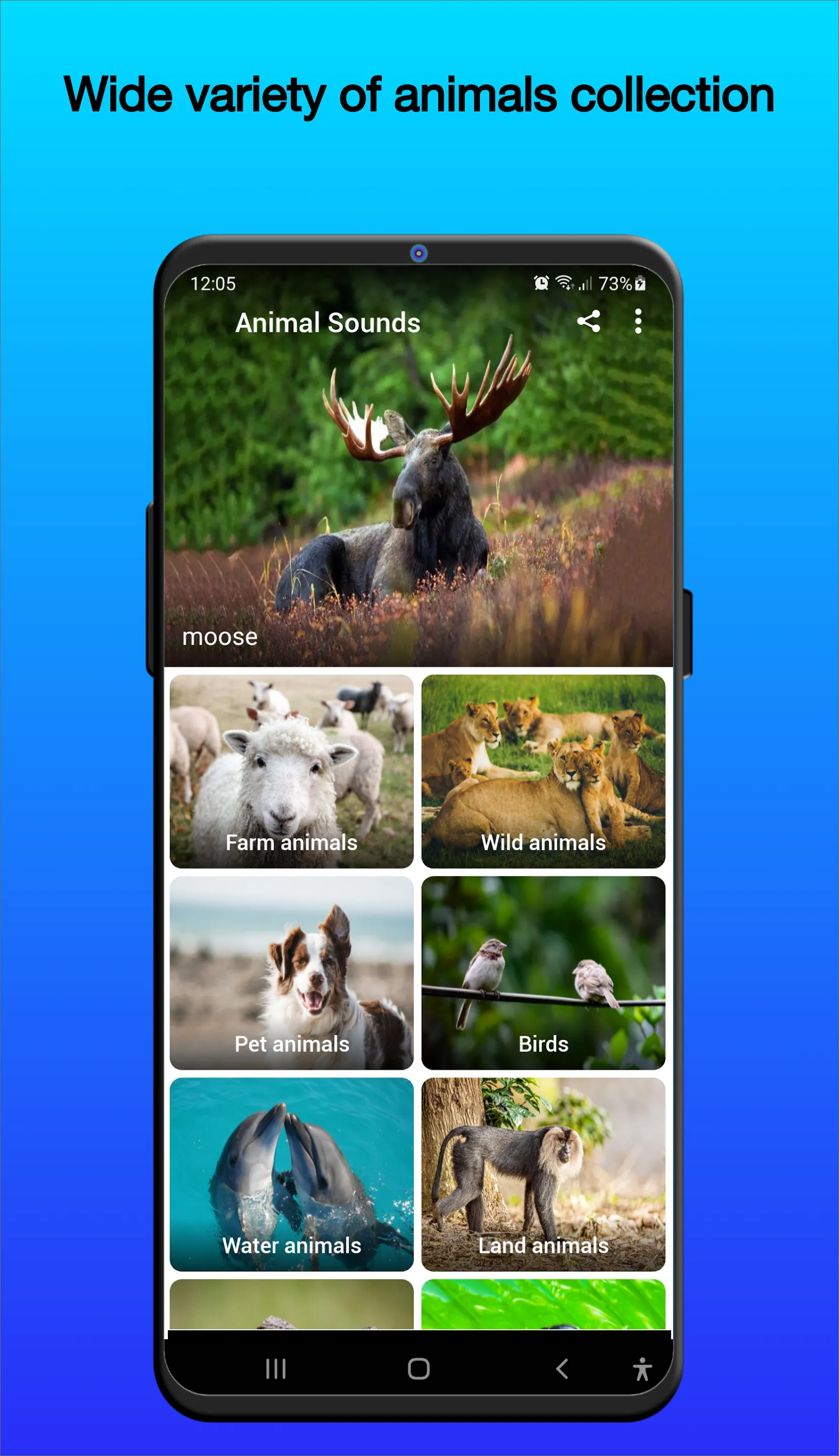 Animal Sounds | Indus Appstore | Screenshot