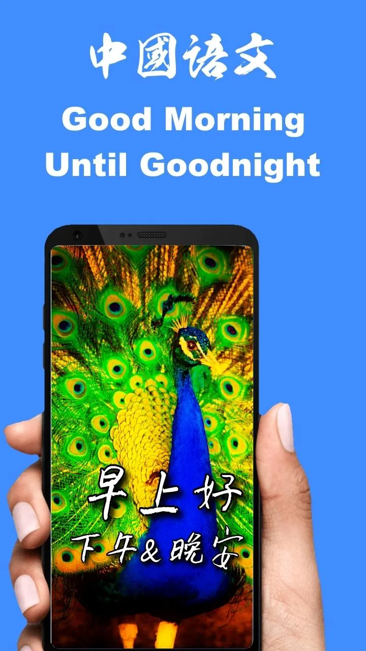 Chinese Good Morning to Night | Indus Appstore | Screenshot