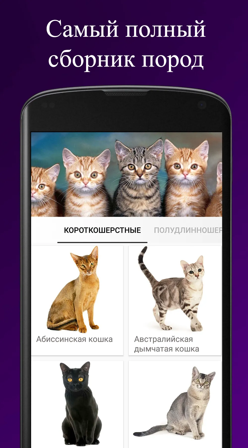 Породы кошек. Справочник пород | Indus Appstore | Screenshot