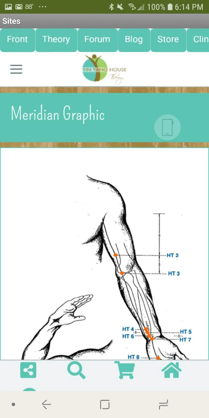 Yin Yang House Acupuncture | Indus Appstore | Screenshot