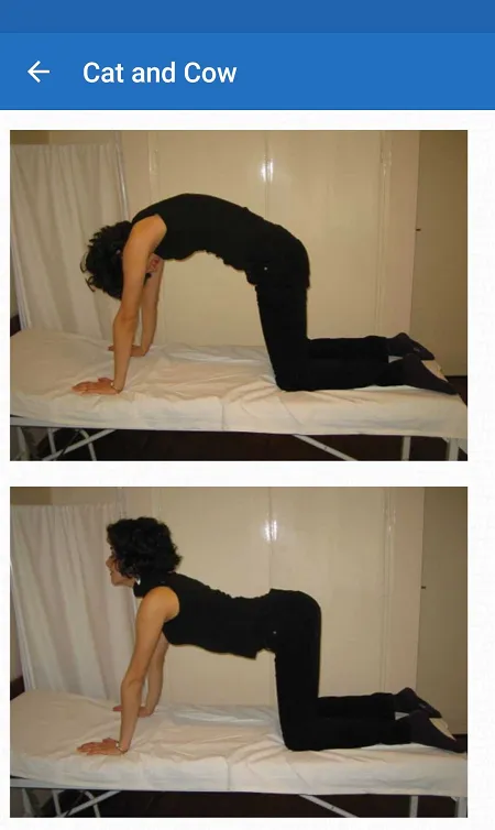 Exercises for lower back pain | Indus Appstore | Screenshot