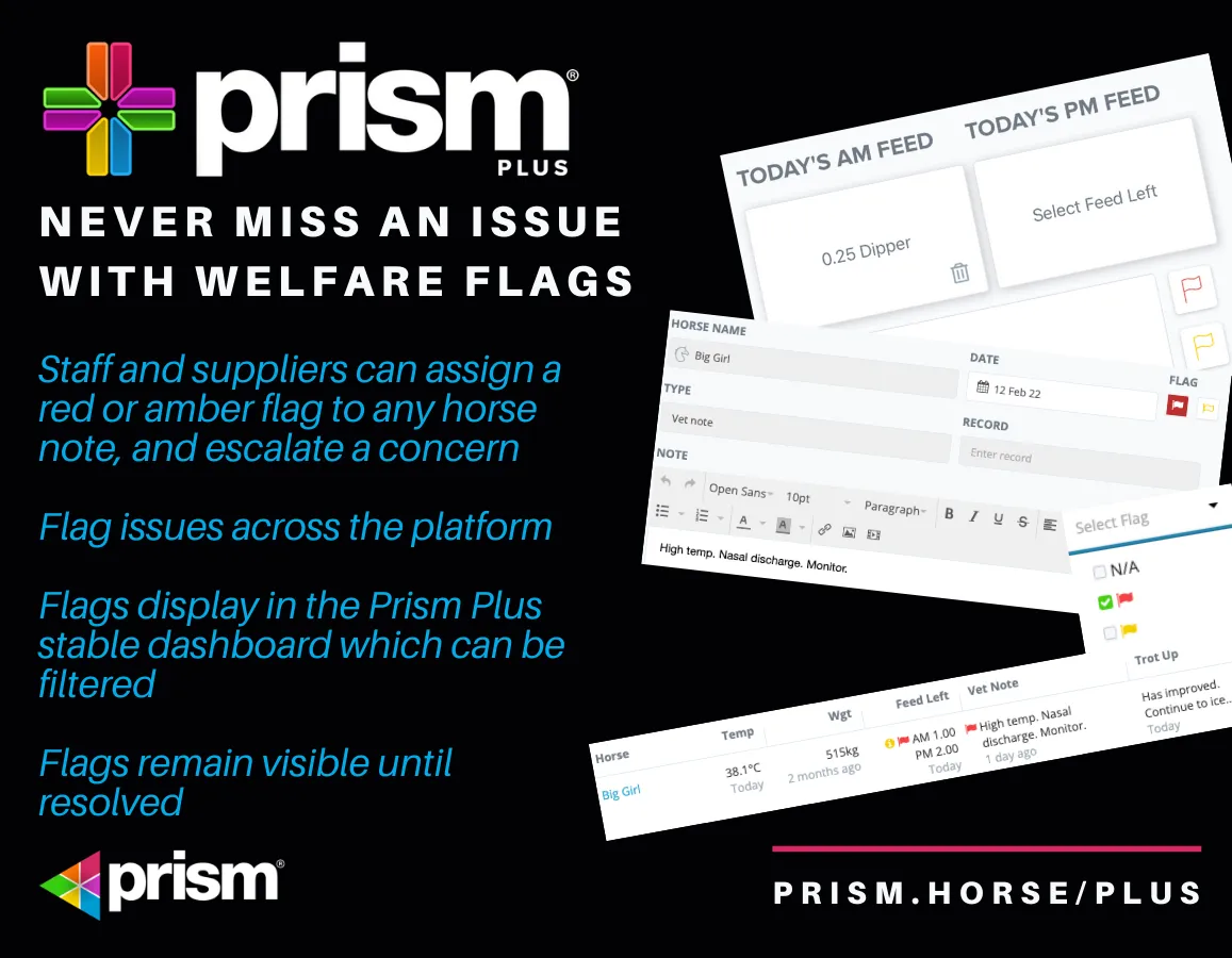 Prism Plus Tablet | Indus Appstore | Screenshot