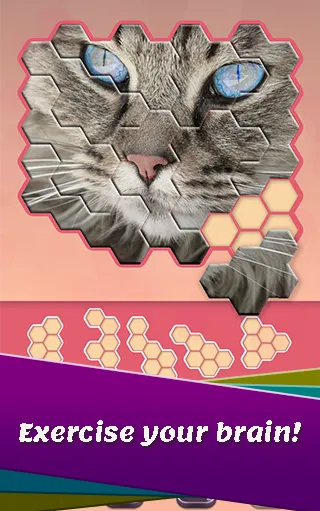 Animals Jigsaw! - Hexa puzzle | Indus Appstore | Screenshot