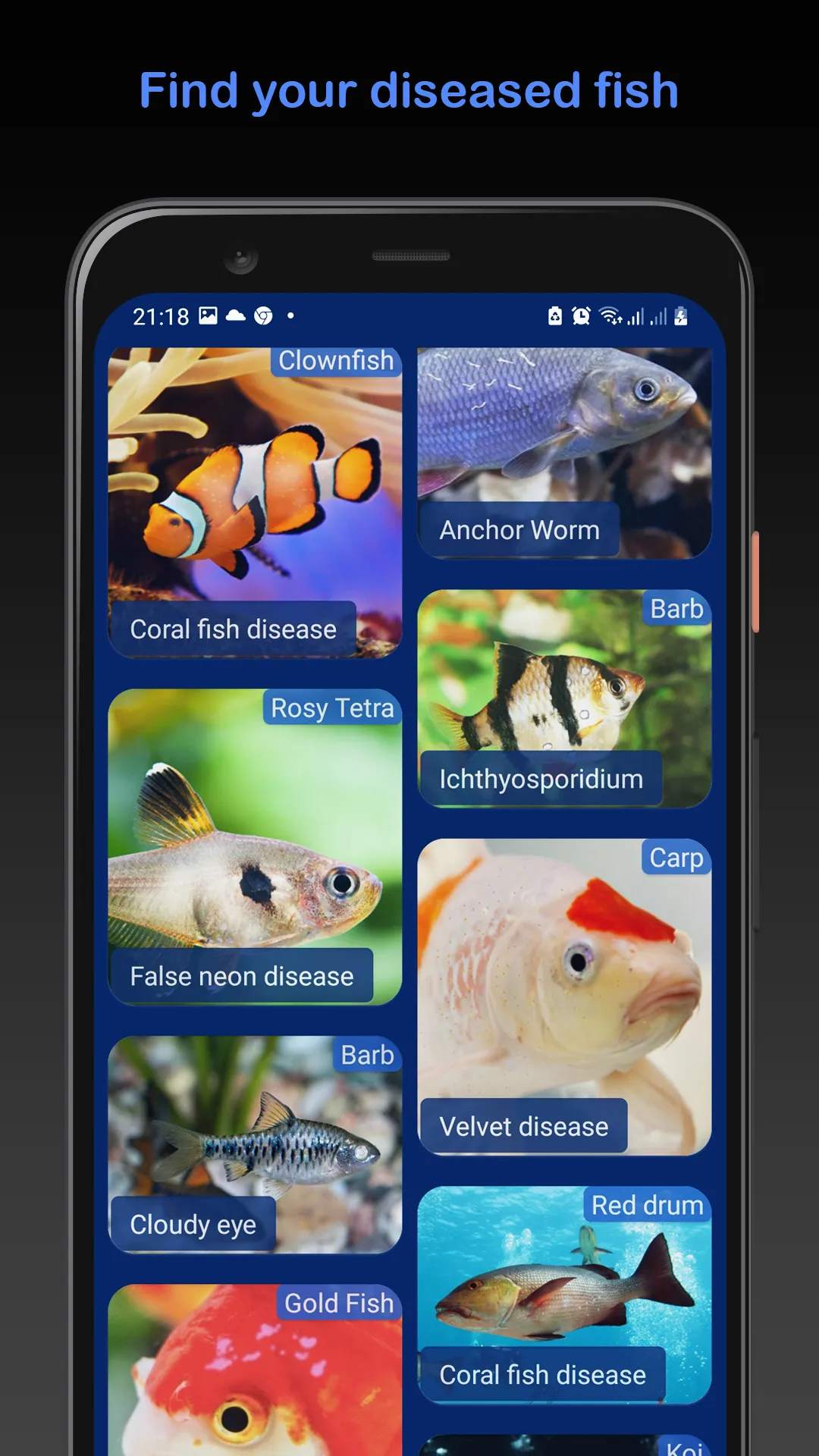 Fish Doc | Indus Appstore | Screenshot