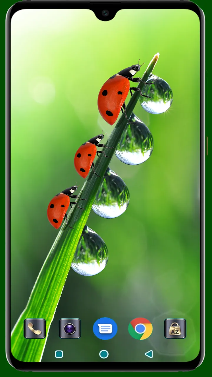 Lady Bug Wallpaper | Indus Appstore | Screenshot