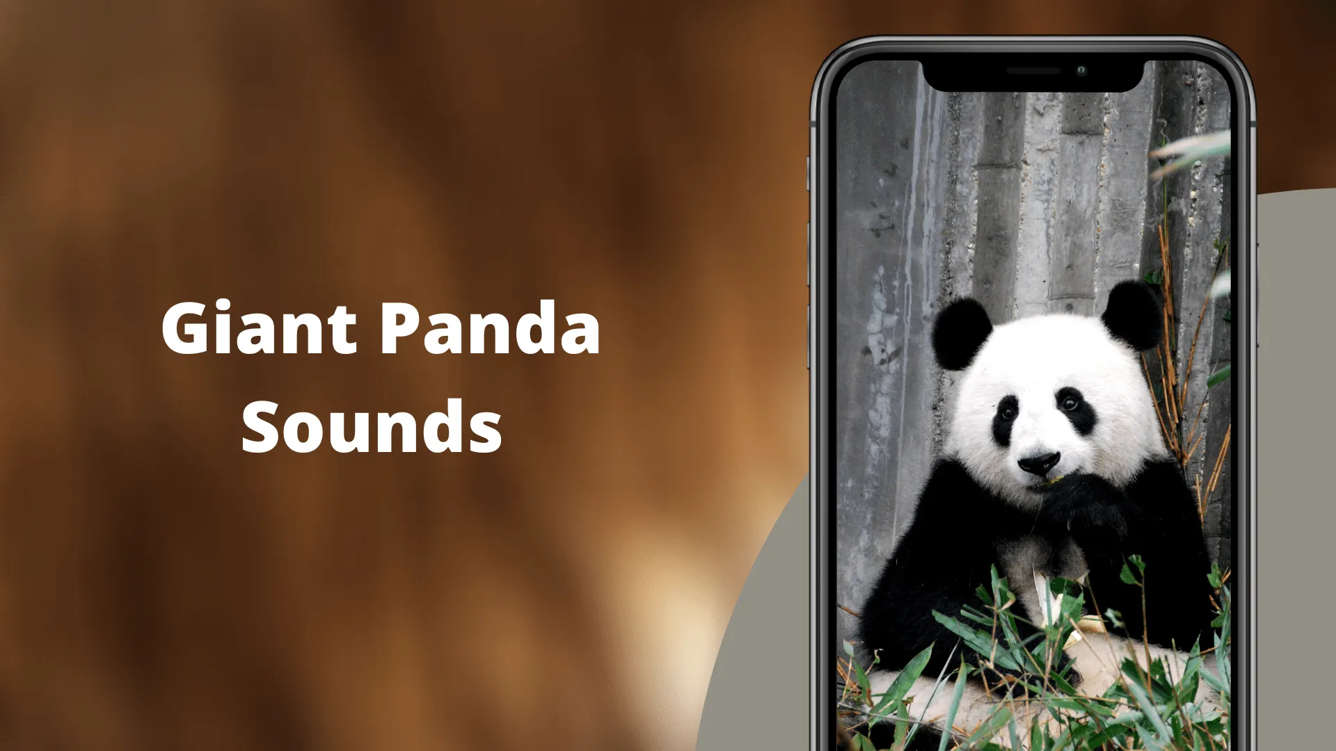 Panda Sounds | Indus Appstore | Screenshot