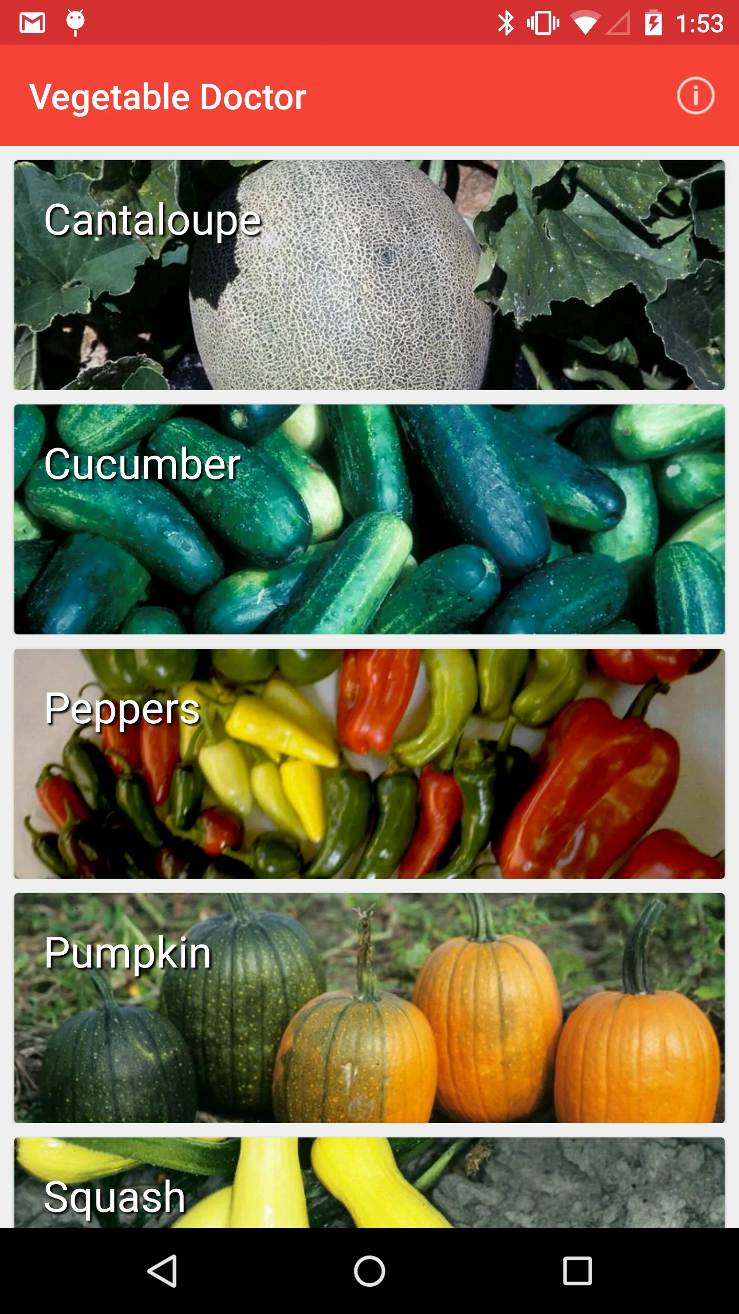 Vegetable Doctor | Indus Appstore | Screenshot