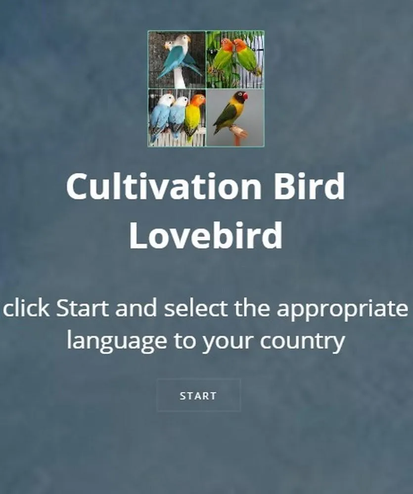 cultivating lovebird | Indus Appstore | Screenshot