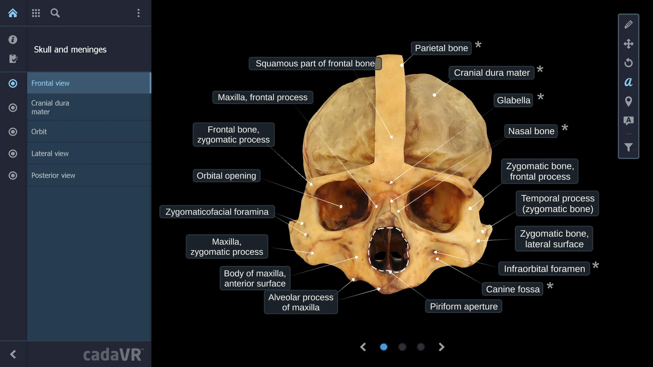 cadaVR anatomy | Indus Appstore | Screenshot