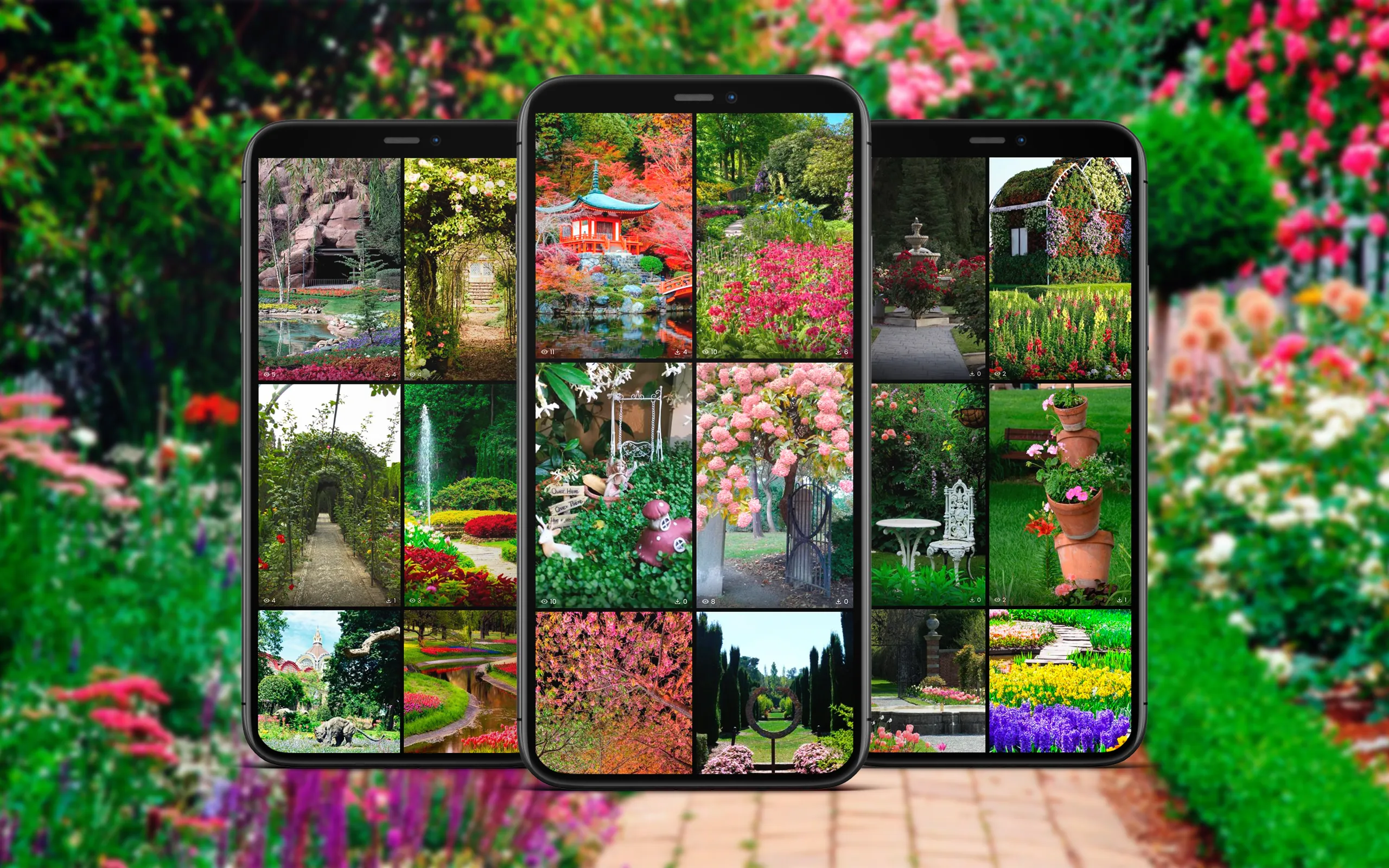 Garden Wallpapers | Indus Appstore | Screenshot