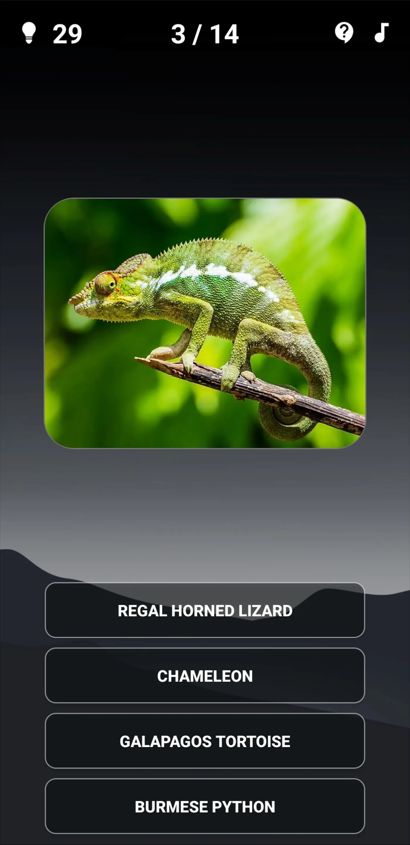 Animal Quiz: Guess the Animal | Indus Appstore | Screenshot