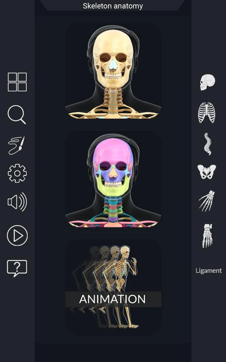 My Skeleton Anatomy | Indus Appstore | Screenshot