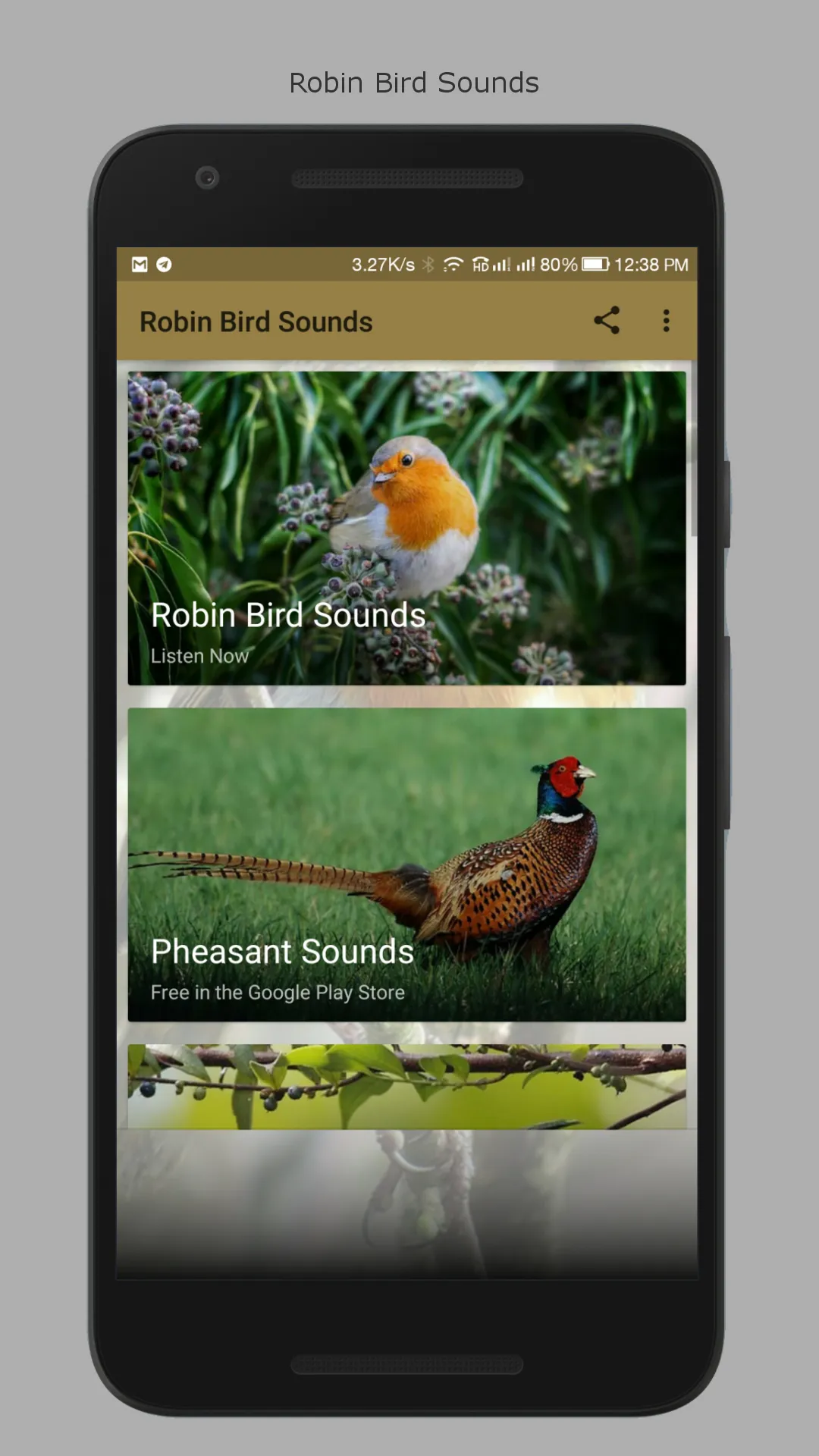 Robin Bird Sounds | Indus Appstore | Screenshot