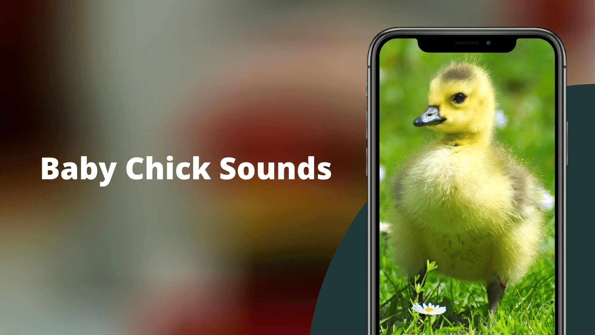 Chicks Sounds - Chirping Noise | Indus Appstore | Screenshot