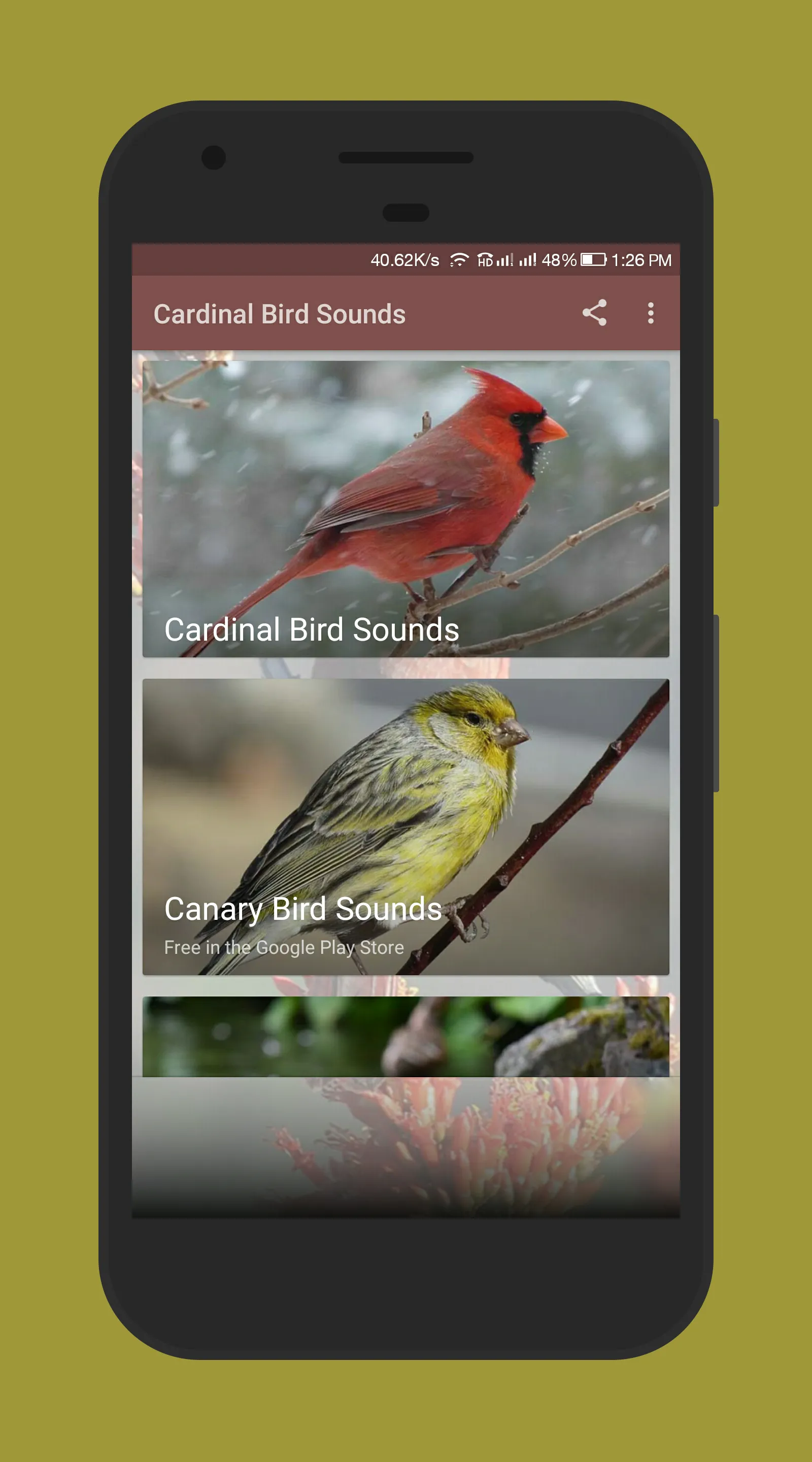 Cardinal Bird Sound | Indus Appstore | Screenshot