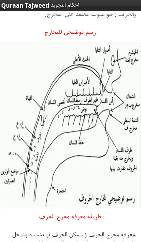 Quran Tajweed تجويد القرآن | Indus Appstore | Screenshot