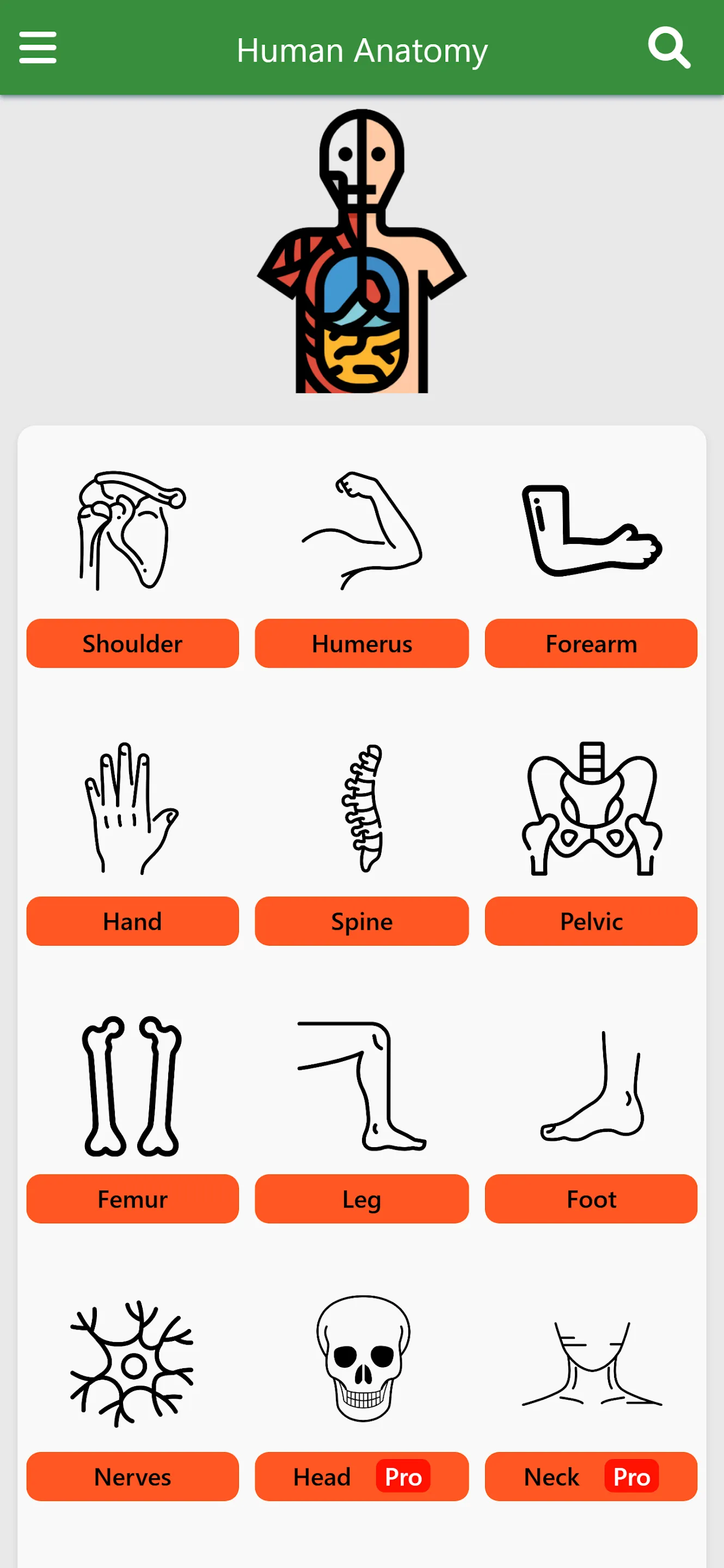 Orthopedic Anatomy | Indus Appstore | Screenshot